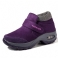 Purppura