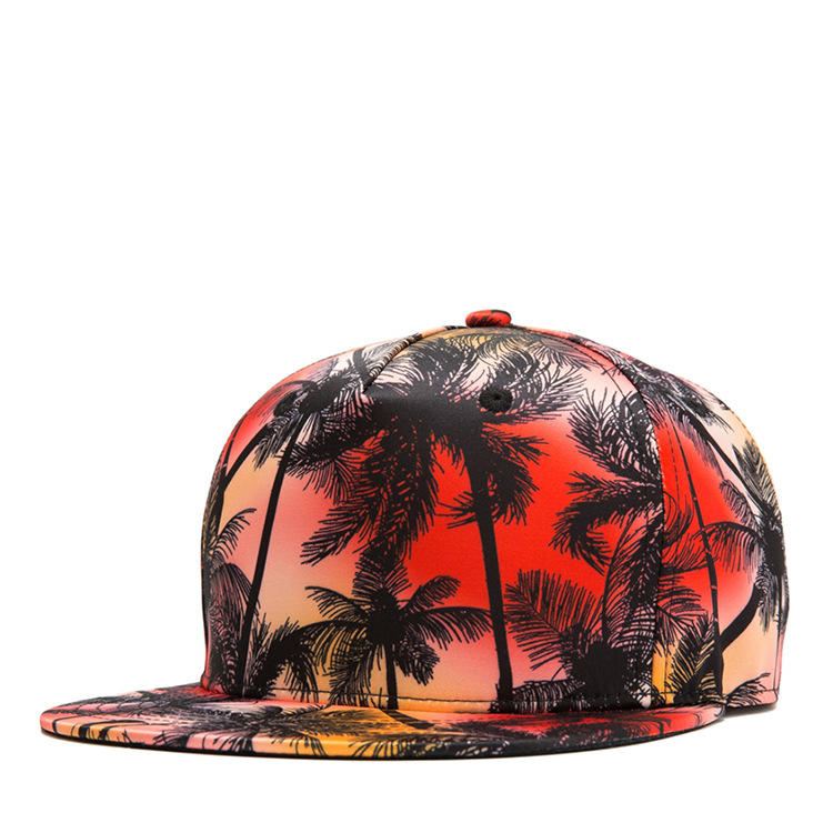Trooppinen Tuuli Coconut Litteä Hattu Leaf Hip Hop Hattu Lippalakki