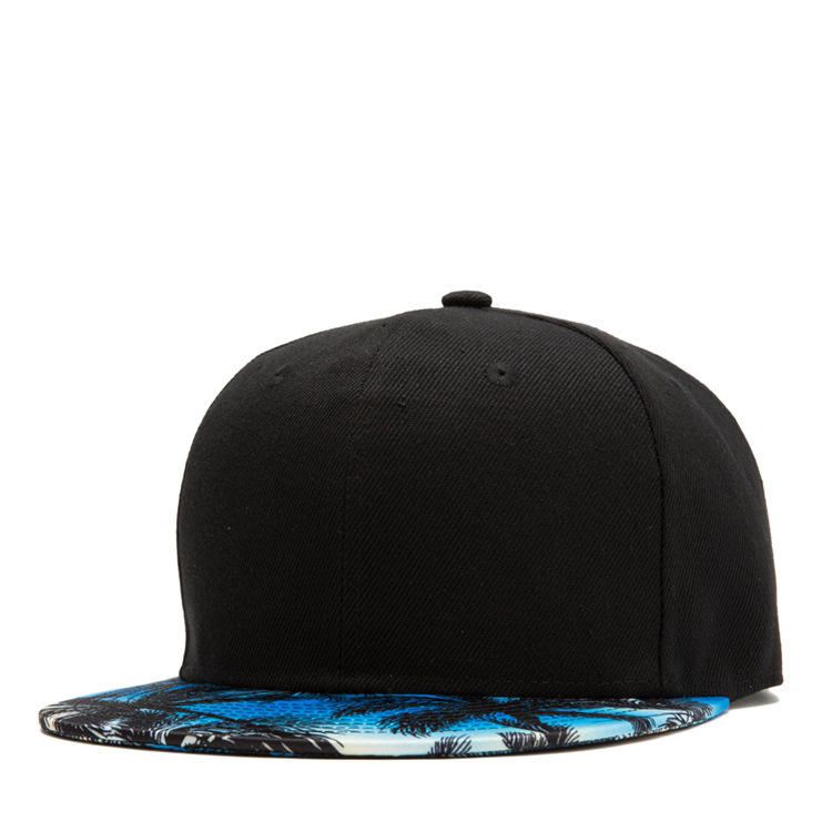 Trooppinen Tuuli Coconut Litteä Hattu Leaf Hip Hop Hattu Lippalakki