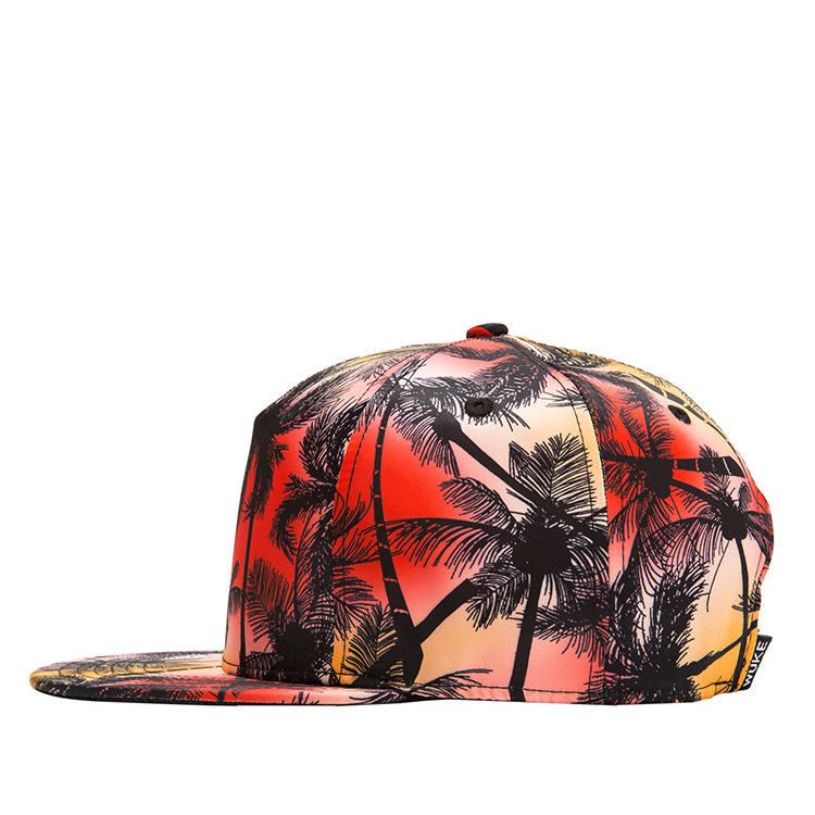 Trooppinen Tuuli Coconut Litteä Hattu Leaf Hip Hop Hattu Lippalakki